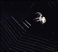 ��ͨ�˿˱���ҩˮ��Ƶ������һ���̾־ֳ����������ת�ƲƲ� Ժ���������...